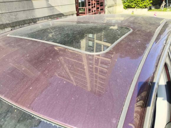 [上海·沪C] 二手斯柯达昊锐2009款 1.8TSI 自动优雅版