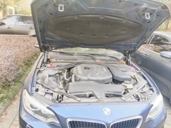 [苏州·苏E] 二手宝马宝马2系2015款 218i 敞篷轿跑车