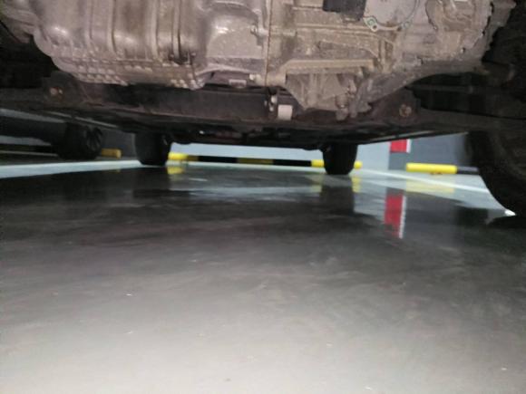 [上海·沪B] 二手福特翼搏2017款 1.5L 自动尊贵型