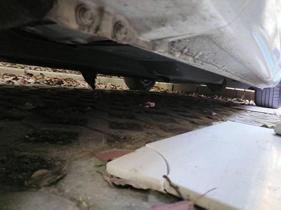 [上海·川J] 二手红旗红旗H52019款 30TD 型动版