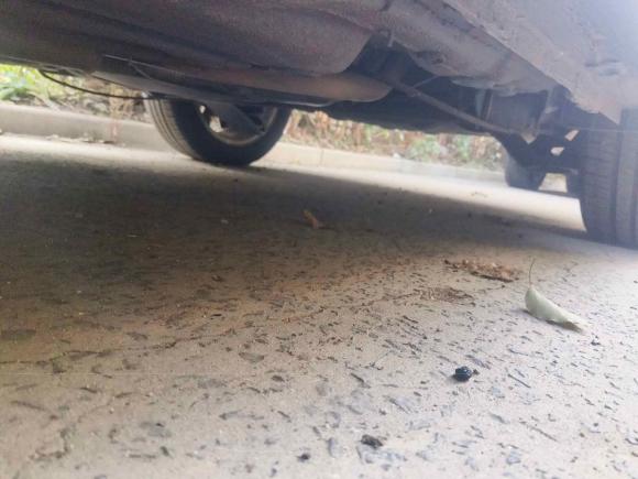 [上海·沪A] 二手大众朗逸2013款 改款经典 1.6L 自动舒适版