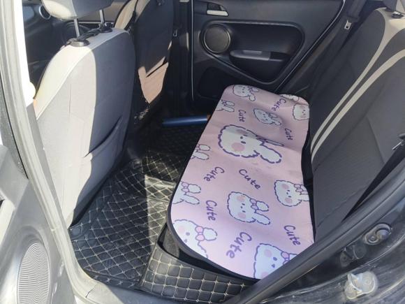 [广州·粤A] 二手欧拉欧拉黑猫2021款 301km 萌宠版