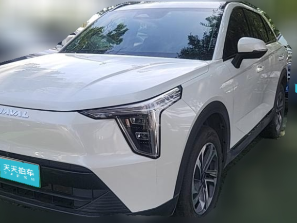 哈弗哈弗梟龍2023款 1.5L 110KM領(lǐng)動(dòng)版「西安二手車」「天天拍車」