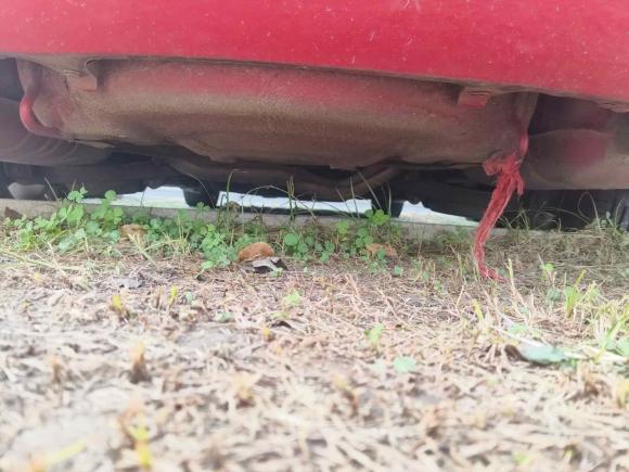 [苏州·苏E] 二手马自达马自达62011款 2.0L 自动时尚型