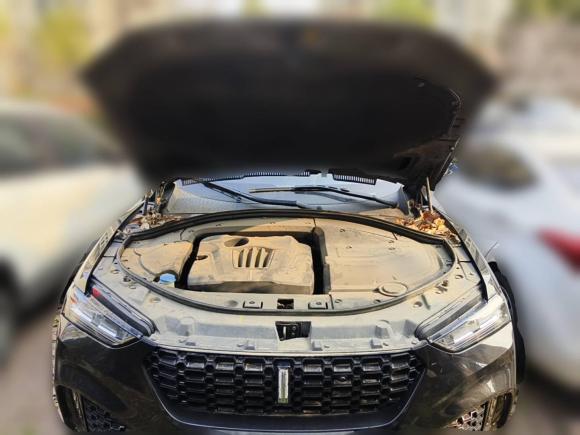 [合肥·皖G] 二手魏牌魏牌 VV72017款 2.0T 旗舰型