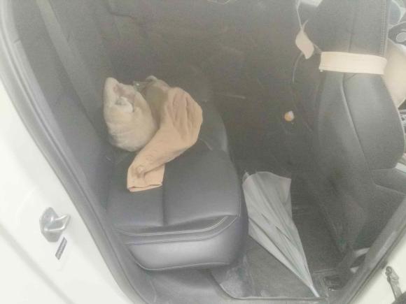 [上海·苏U] 二手领克领克032023款 1.5TD DCT劲Pro