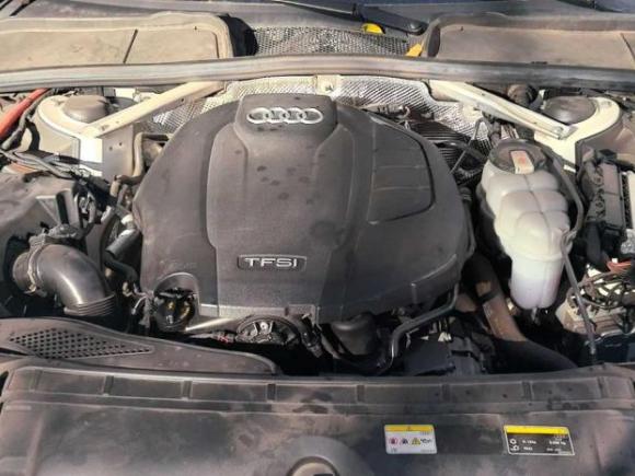 [北京·辽C] 二手奥迪奥迪A4L2022款 40 TFSI 豪华动感型