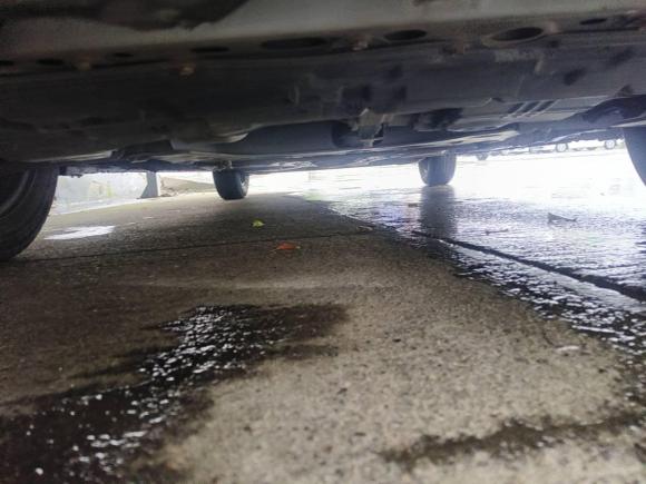 [嘉兴·浙F] 二手日产轩逸2012款 经典 1.6XE 自动舒适版