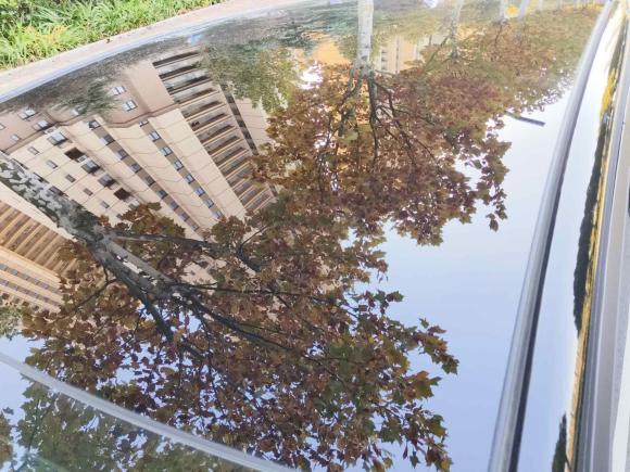 [青岛·鲁B] 二手比亚迪海豚2023款 50万纪念版Plus