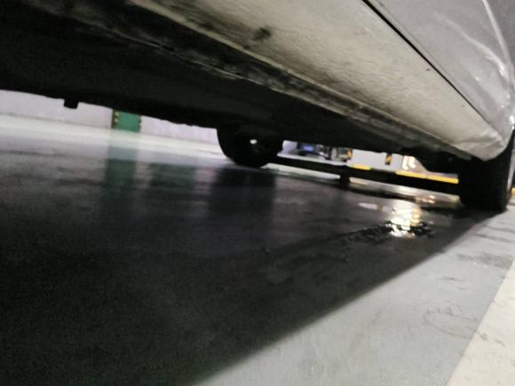 [杭州·浙C] 二手大众宝来2019款 宝来·传奇 1.5L 自动时尚型 国VI