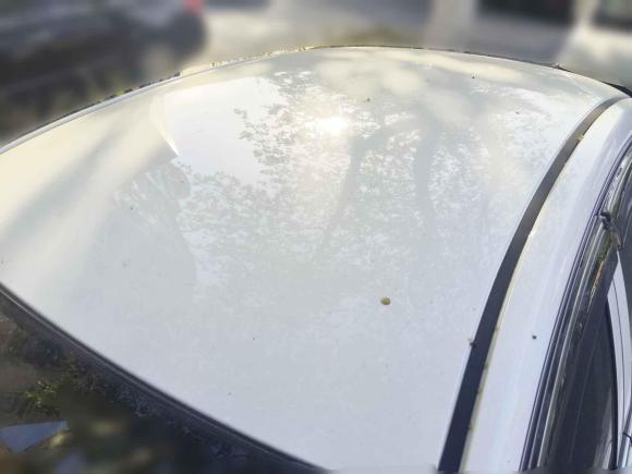 [芜湖·皖B] 二手东风风神东风风神E702021款 改款二 360H 换电版