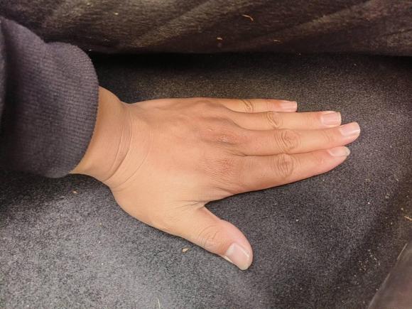 [苏州·苏E] 二手菲亚特菲翔2012款 1.4T 自动劲享版