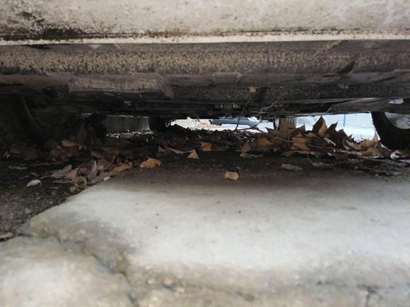 [合肥·皖A] 二手吉利汽车帝豪GL2019款 1.4T 手动精英智享型