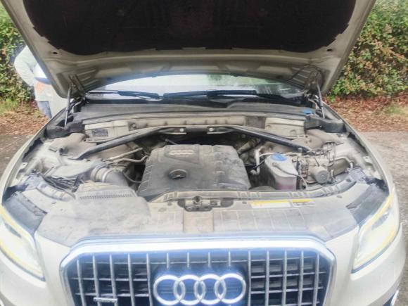 [上海·沪C] 二手奥迪奥迪Q52013款 40 TFSI 舒适型