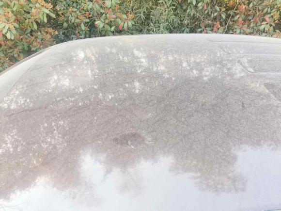 [义乌·浙G] 二手江铃宝典2020款 2.5T柴油两驱舒享版标轴JX4D25A6L