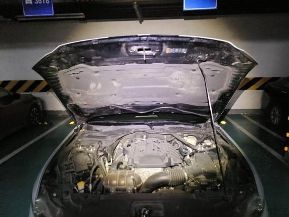 [成都·川A] 二手福特Mustang2015款 2.3T 性能版