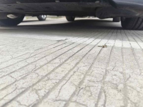 [温州·浙C] 二手凯迪拉克凯迪拉克CT52020款 改款 28T 技术型