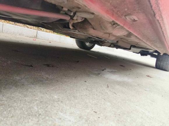 [嘉兴·浙F] 二手斯柯达昕动2019款 改款 1.5L 自动舒适版 国VI