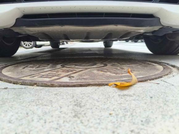 [青岛·鲁B] 二手宝马宝马3系2015款 320Li 超悦版时尚型