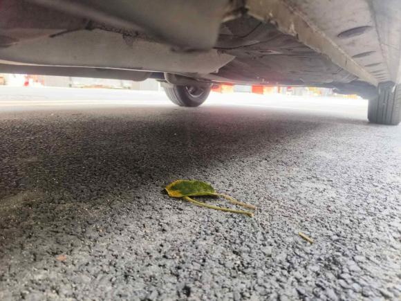 [佛山·粤E] 二手丰田威驰2019款 1.5L CVT创行版