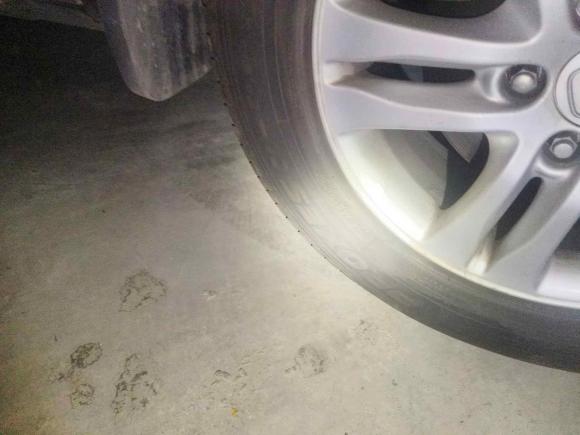 [广州·粤A] 二手本田本田CR-V2010款 2.4L 自动四驱豪华版