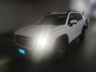 哈弗哈弗大狗2021款 1.5T DCT两驱边牧-旺财版「南京二手车」「天天拍车」
