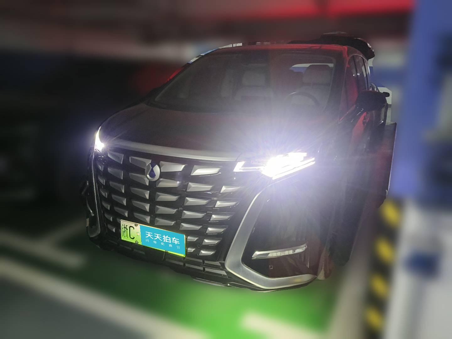 [温州·浙C] 腾势腾势D92022款 DM-i 970 四驱尊荣型