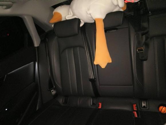 [合肥·皖A] 二手奥迪奥迪A4L2024款 40 TFSI 时尚动感型