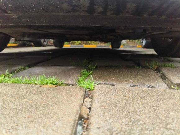 [武汉·鄂A] 二手大众高尔夫2018款 180TSI 自动舒适型