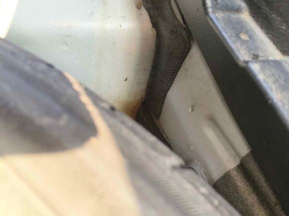 [杭州·浙A] 二手斯柯达明锐2017款 1.6L 自动创行版