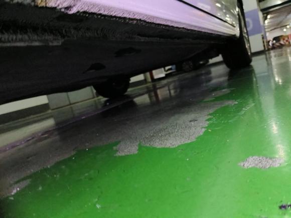 [杭州·浙A] 二手大众宝来2019款 280TSI DSG精英型