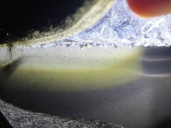 [成都·川A] 二手大众迈腾2019款 330TSI DSG 领先型 国VI