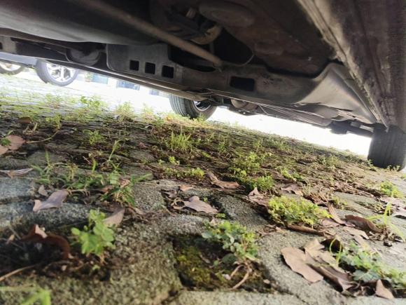 [金华·浙G] 二手大众Polo2016款 1.4L 手动风尚型