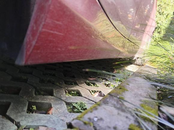 [嘉兴·浙F] 二手宝马宝马1系2013款 改款 116i 都市型