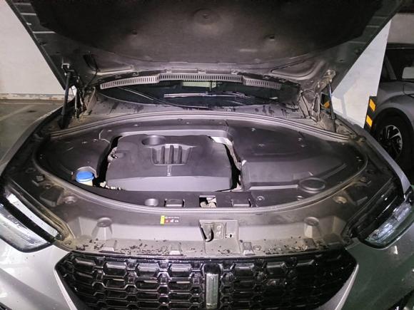 [苏州·苏E] 二手魏牌魏牌 VV72017款 2.0T 旗舰型