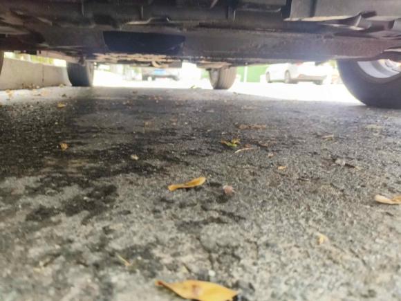 [青岛·鲁B] 二手铃木天语 SX42009款 两厢 1.6L 自动运动型