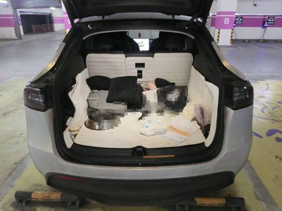 [上海·沪A] 二手特斯拉Model Y2022款 改款 后轮驱动版