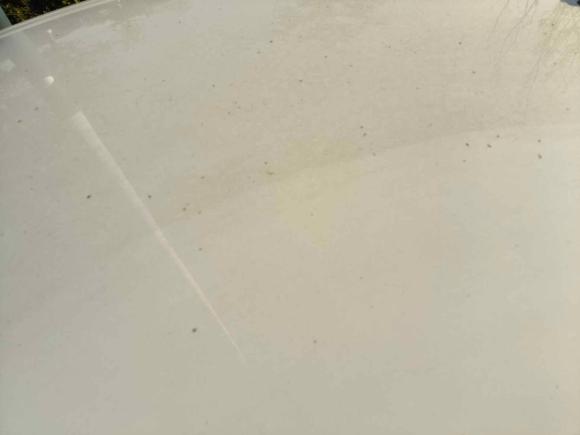 [常州·苏D] 二手荣威科莱威CLEVER2022款 311km元气啵啵版