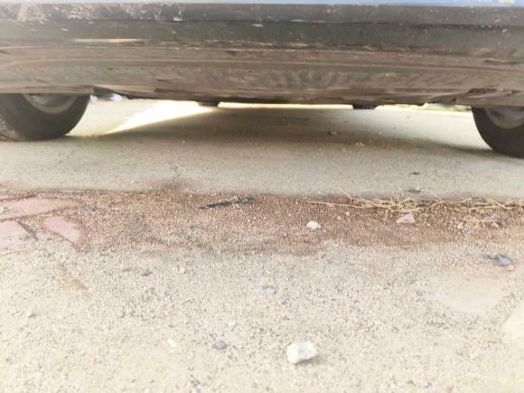 [青岛·鲁A] 二手奥迪奥迪A6L2012款 TFSI 舒适型