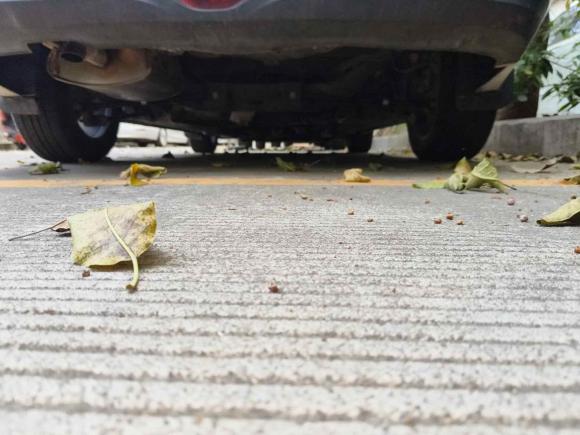 [深圳·粤B] 二手别克英朗2021款 改款 典范 1.5L 自动精英型