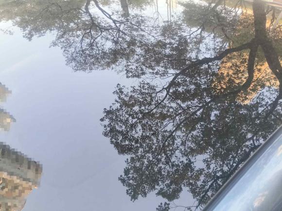 [南昌·赣A] 二手比亚迪海豹2022款 550km 标准续航后驱版尊贵型