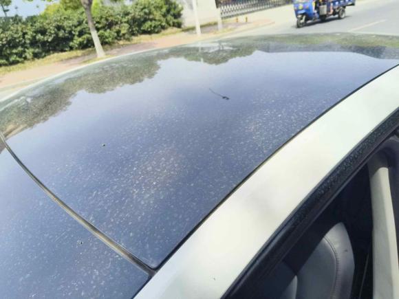 [苏州·苏E] 二手特斯拉Model Y2021款 标准续航后驱版