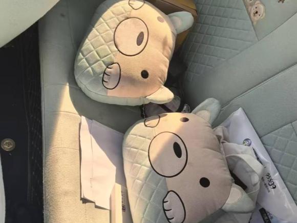 [苏州·苏E] 二手五菱汽车宏光MINIEV2021款 马卡龙时尚款 磷酸铁锂