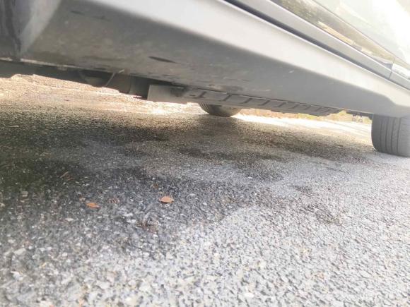 [上海·沪A] 二手威马汽车威马EX52021款 EX5-Z Lead创领版