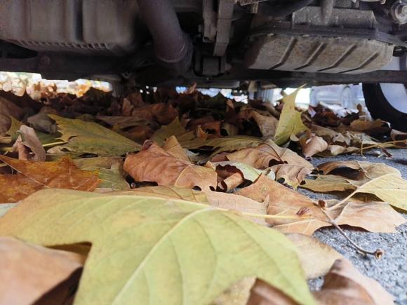 [青岛·鲁B] 二手开瑞开瑞K602018款 1.5L 自动天窗版