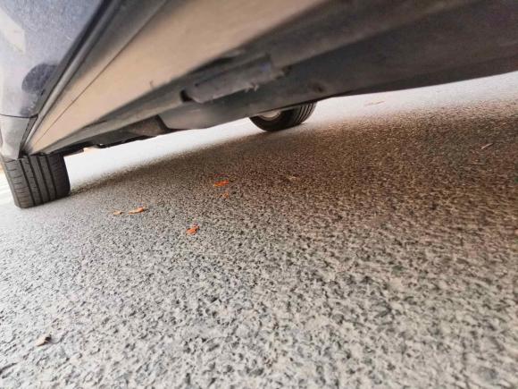 [上海·沪D] 二手奥迪奥迪Q32021款 40 TFSI 时尚动感型