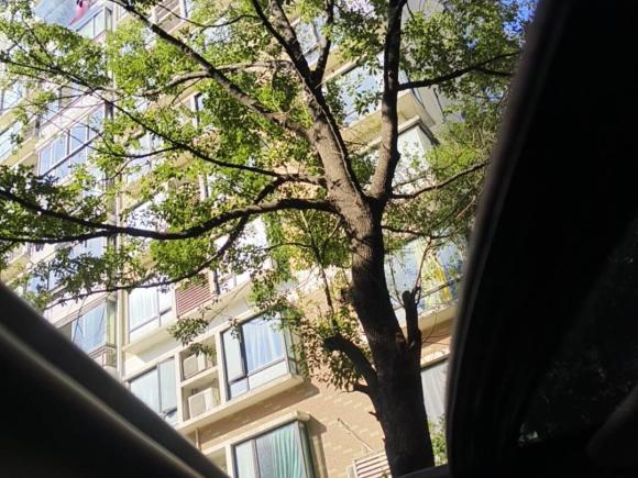 [上海·沪A] 二手丰田卡罗拉2014款 1.6L CVT GL-i真皮版