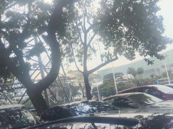 [深圳·粤B] 二手捷豹捷豹XF2012款 XF 3.0L V6风华版