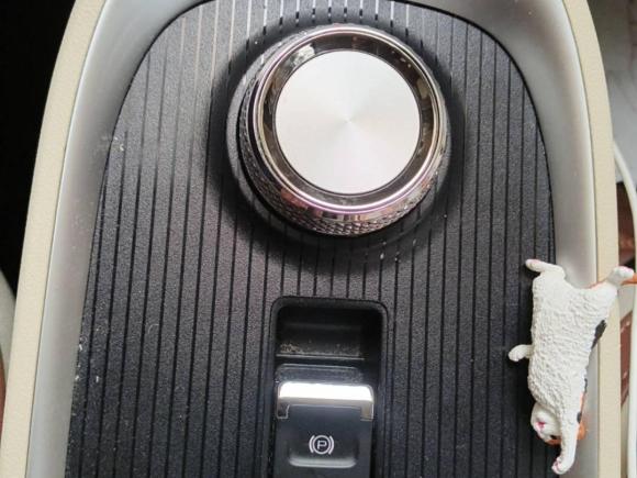 [上海·沪A] 二手欧拉欧拉好猫2021款 400km标准续航 维纳斯版 磷酸铁锂