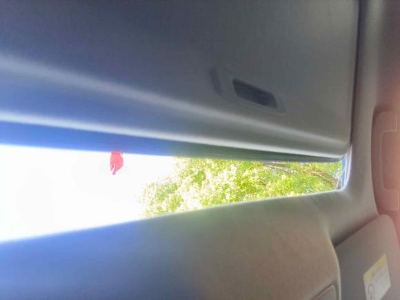 [嘉兴·浙F] 二手日产蓝鸟2019款 1.6L CVT炫酷版 国V